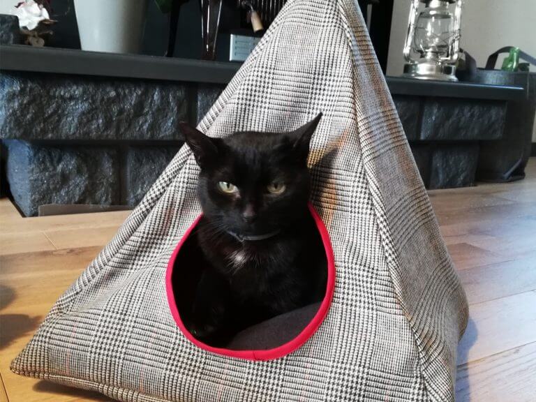 Couchage douillet pour chat